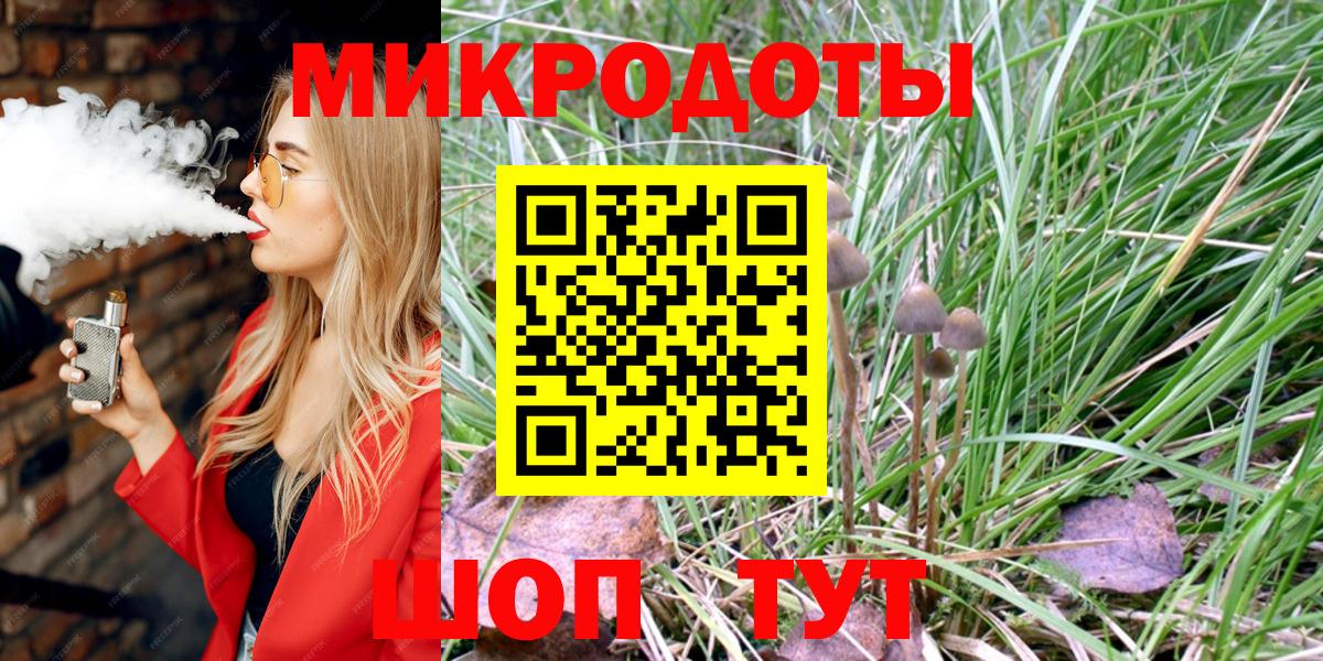 Галлюциногенные грибы Psilocybe  купить закладку  Ефремов  Вход с VPN 